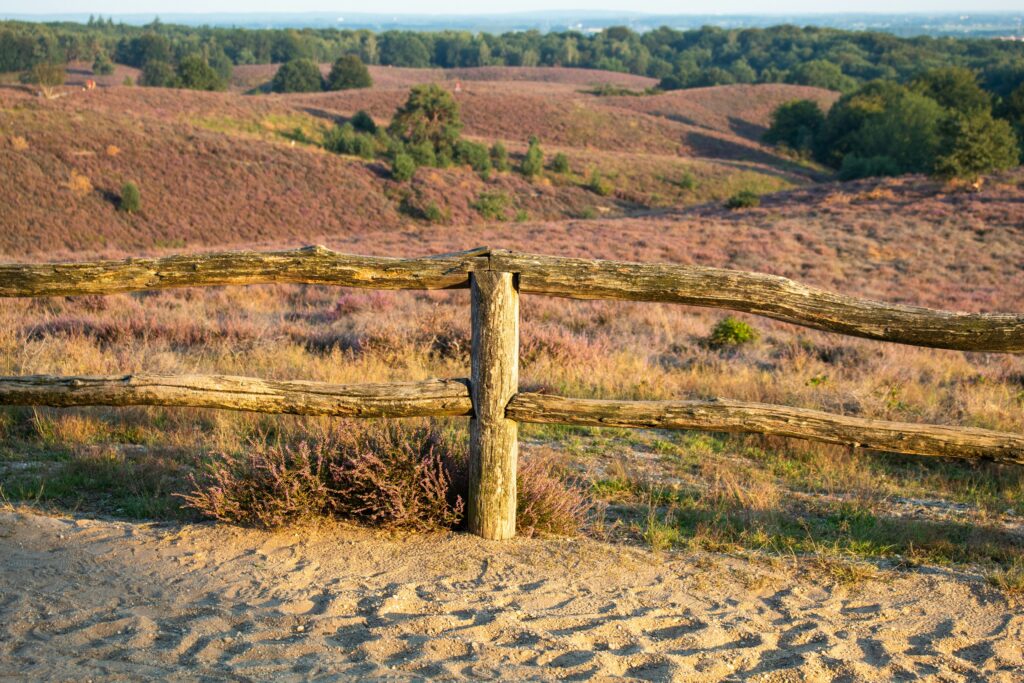 Veluwe – Natuur en Rust Dichtbij Huis