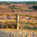 Veluwe – Natuur en Rust Dichtbij Huis