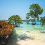 Andaman en Nicobar: Tropisch Paradijs voor Jouw Volgende Vakantie