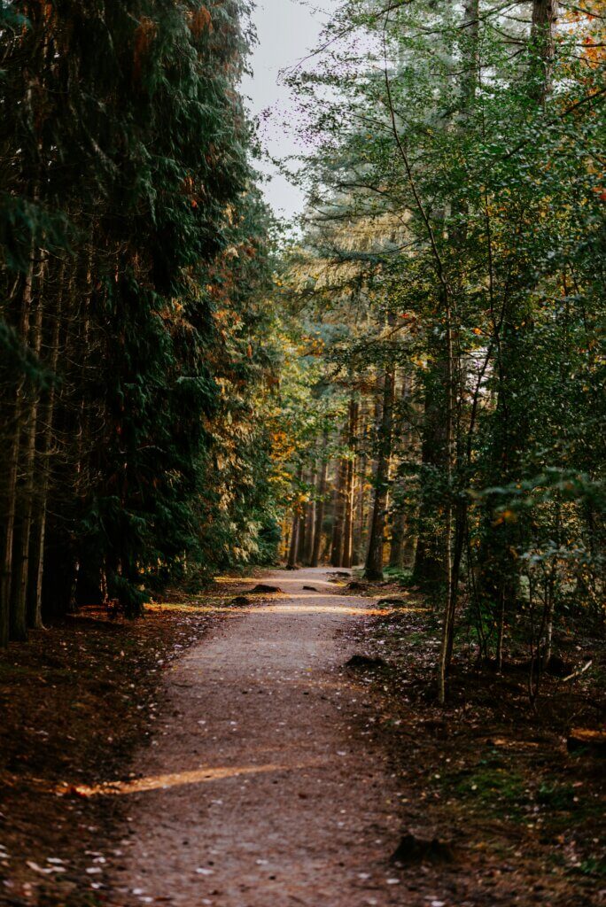 veluwezoom national park